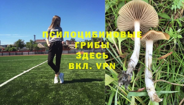 а пвп мука Кодинск