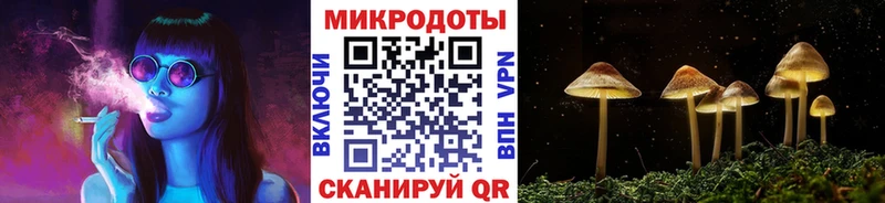 Купить закладки  Курганинск  Галлюциногенные грибы мицелий 